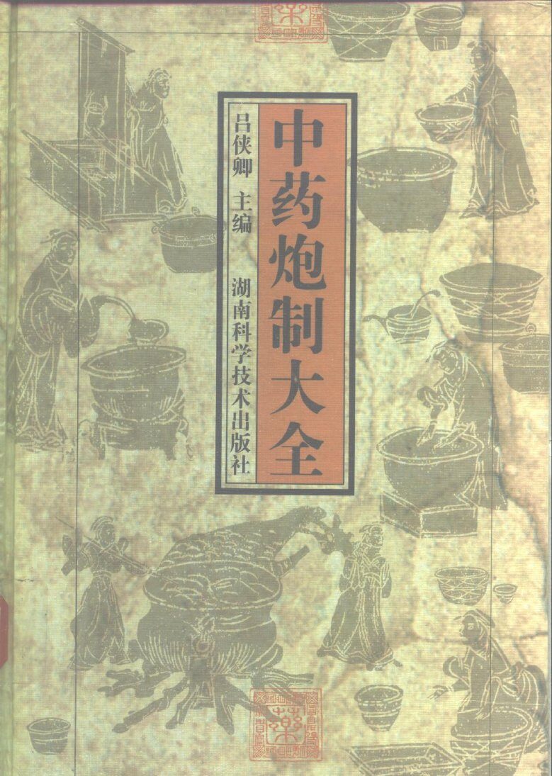 中药炮制大全 封面