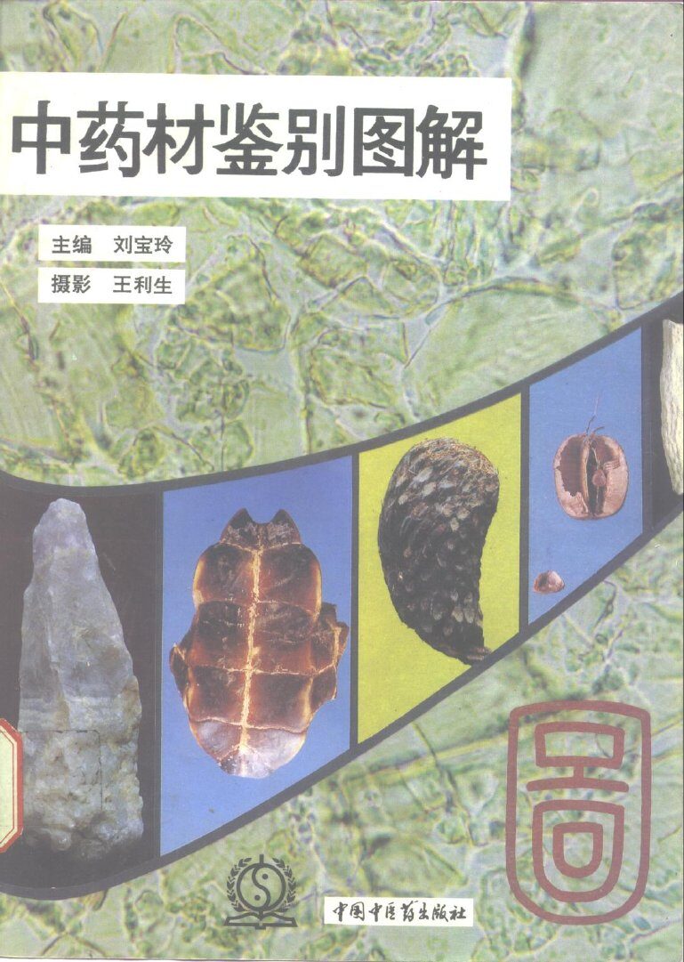 中药材鉴别图解  1 封面