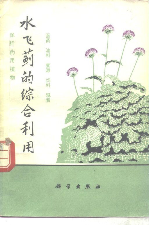 水飞蓟的综合利用  保肝药用植物  医药  油料  蜜源  饲料  观赏 封面