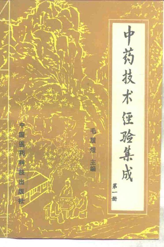 中药技术经验集成 封面