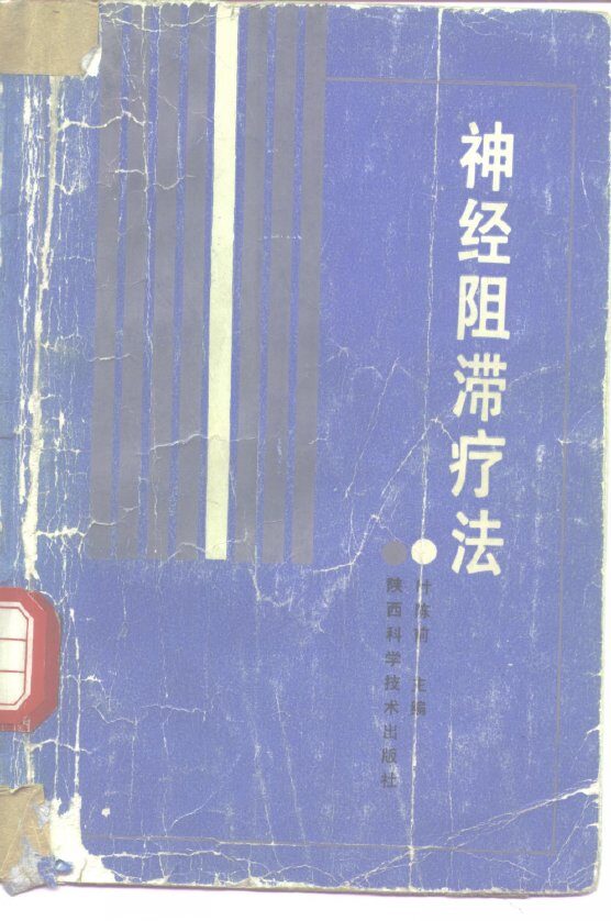 神经阻滞疗法 封面