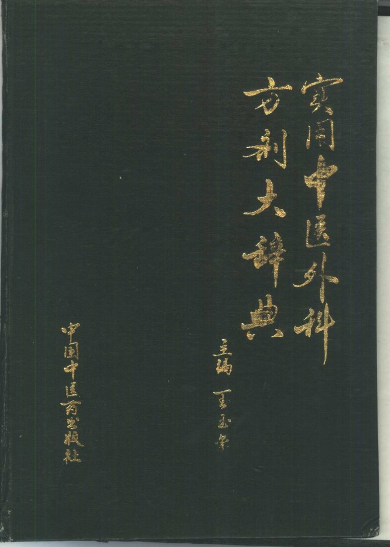 实用中医外科方剂大辞典 封面