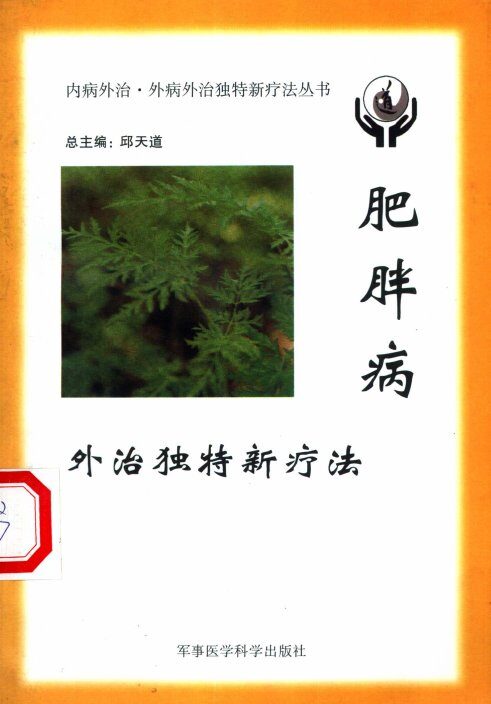 肥胖病外治独特新疗法 封面