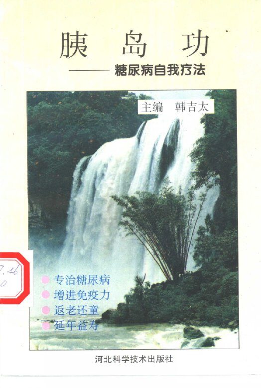 胰岛功  糖尿病自我疗法 封面