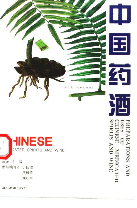 中国药酒 封面