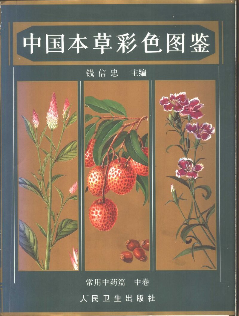 中国本草彩色图鉴  常用中药篇  中 封面