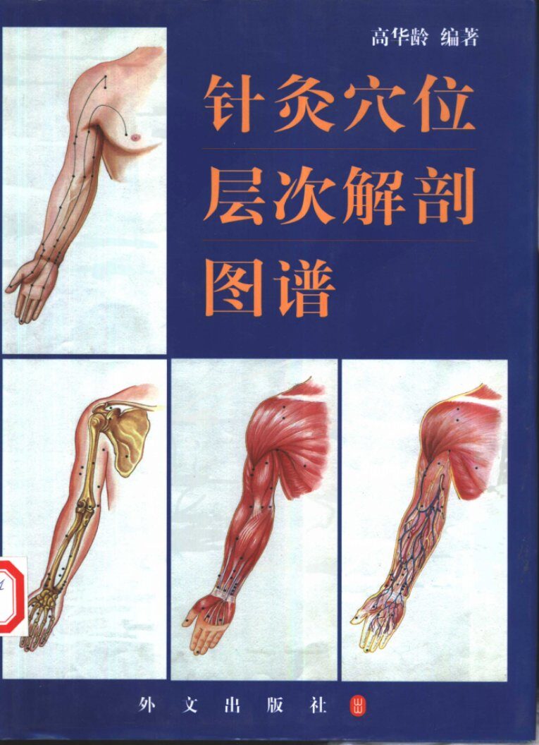 针灸穴位层次解剖图谱 封面