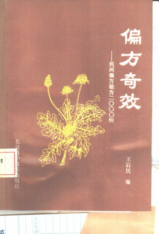 偏方奇效  民间偏方与验方2000例 封面