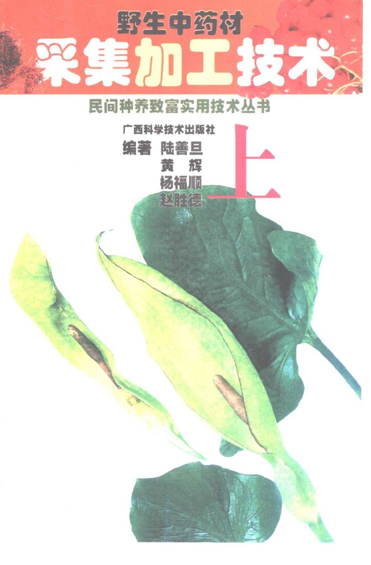 野生中药材采集加工技术  上  总论、根和根茎类、茎木类、皮类、叶类、花类 封面