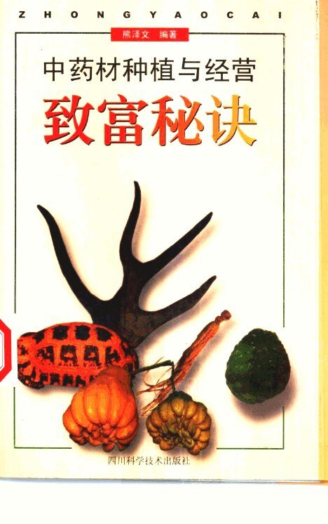 中药材种植与经营致富秘诀 封面