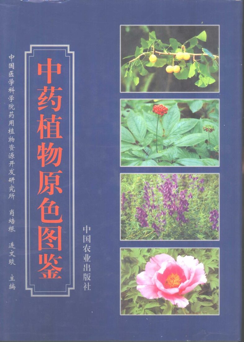 中药植物原色图鉴 封面