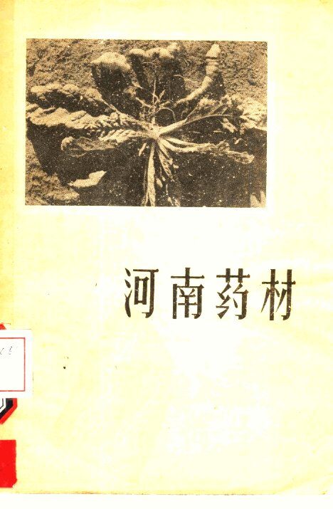 河南药材 封面