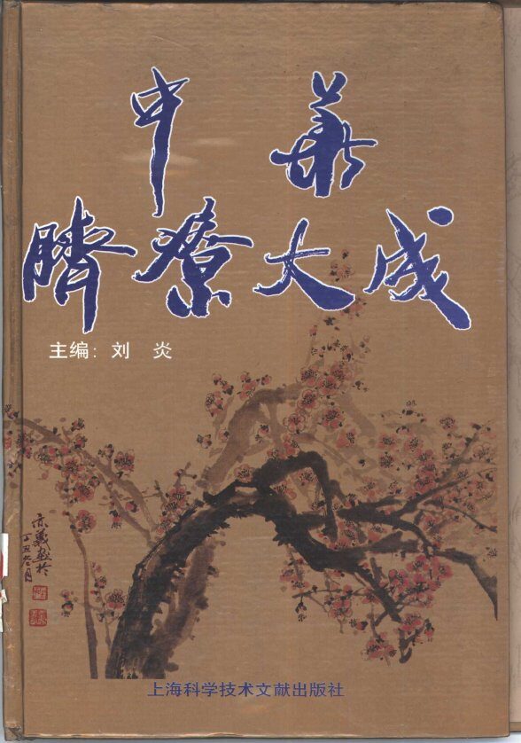 中华脐疗大成 封面