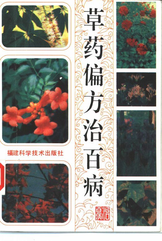 草药偏方治百病 封面