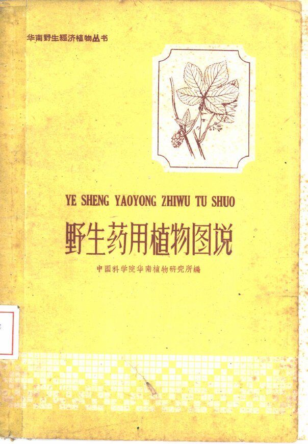 野生药用植物图说 封面
