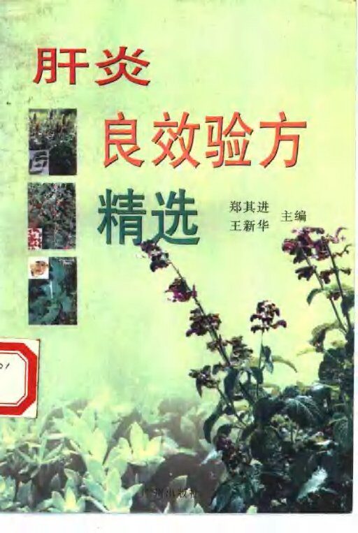 肝炎良效验方精选 封面