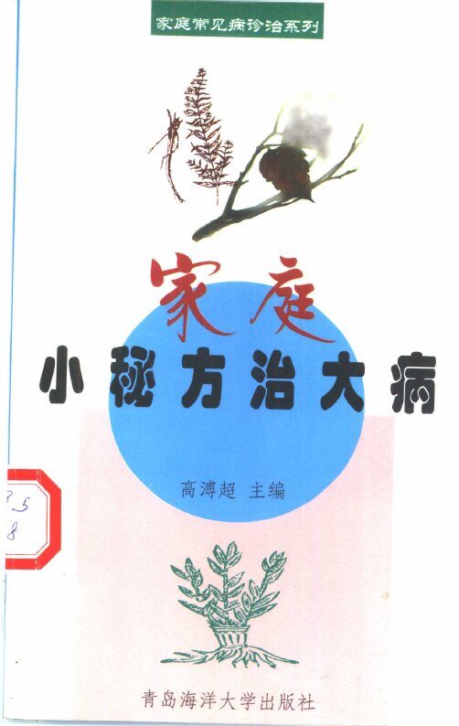 家庭小秘方治大病 封面