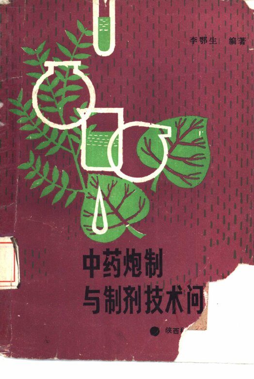 中药炮制与制剂技术问答 封面