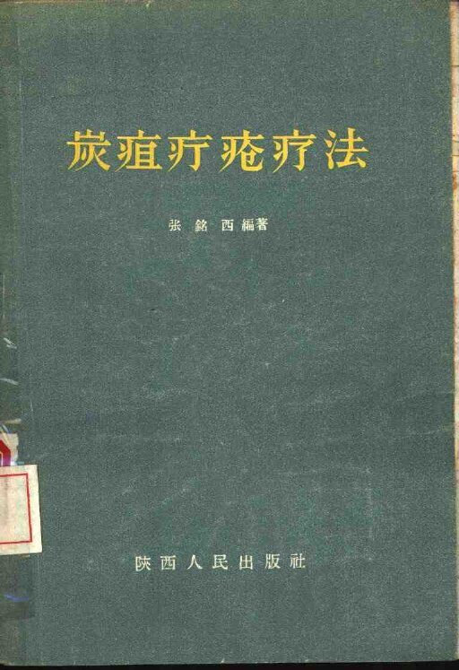 炭疽疔疮疗法 封面