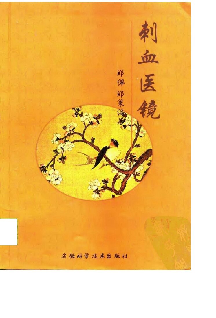 刺血医镜 封面