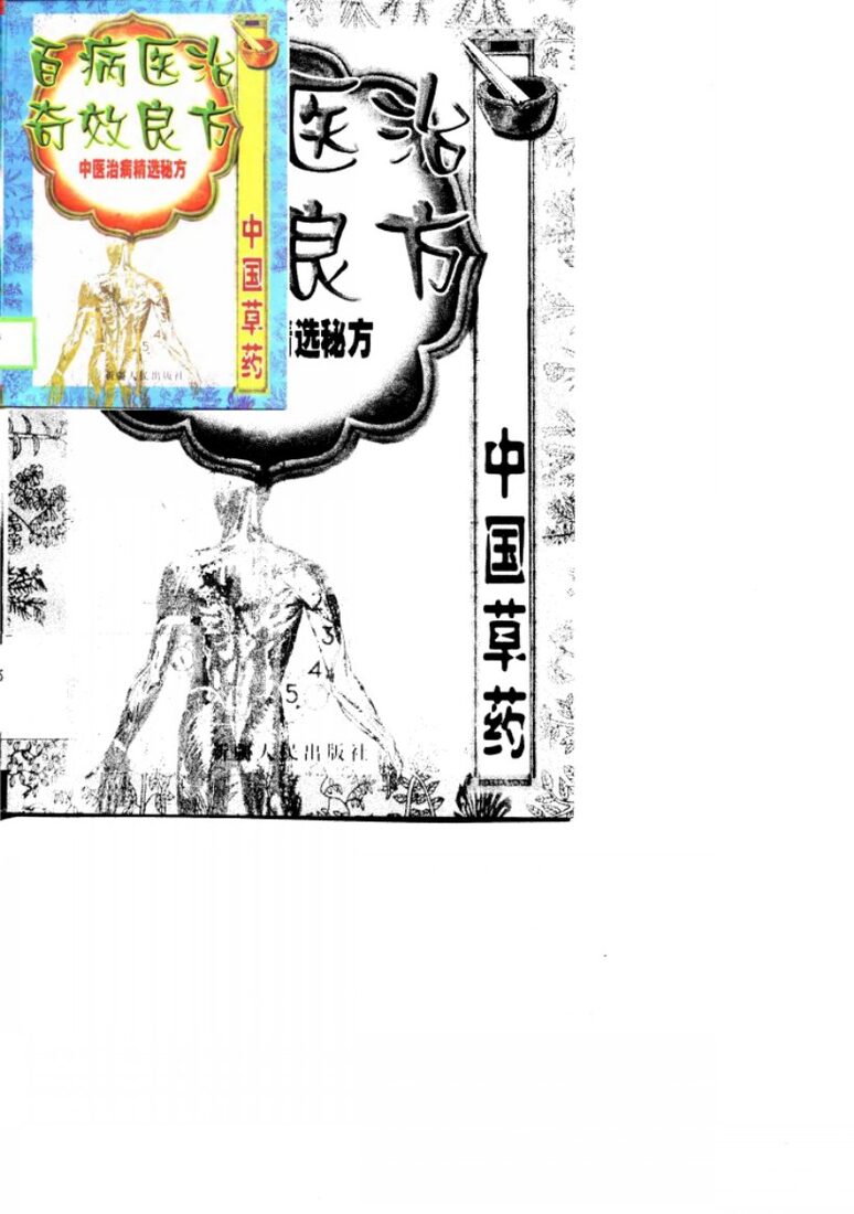 百病医治奇效良方-中医治病精选秘方  上 封面