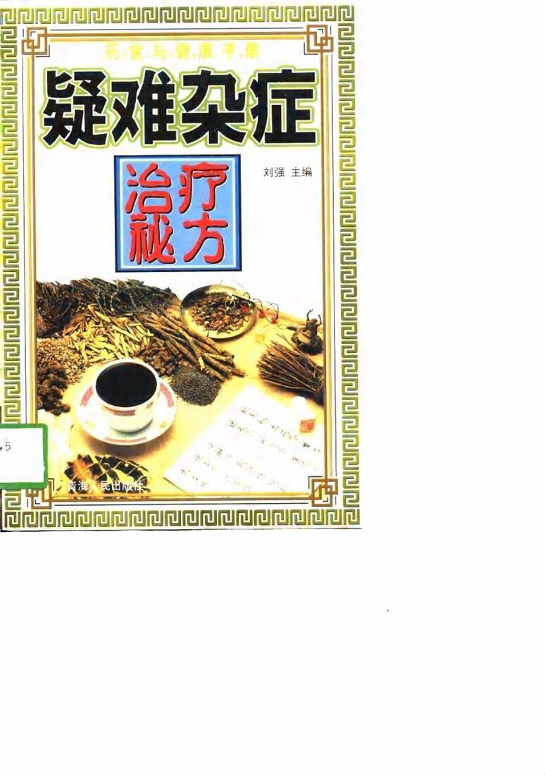 疑难杂症治疗秘方 封面