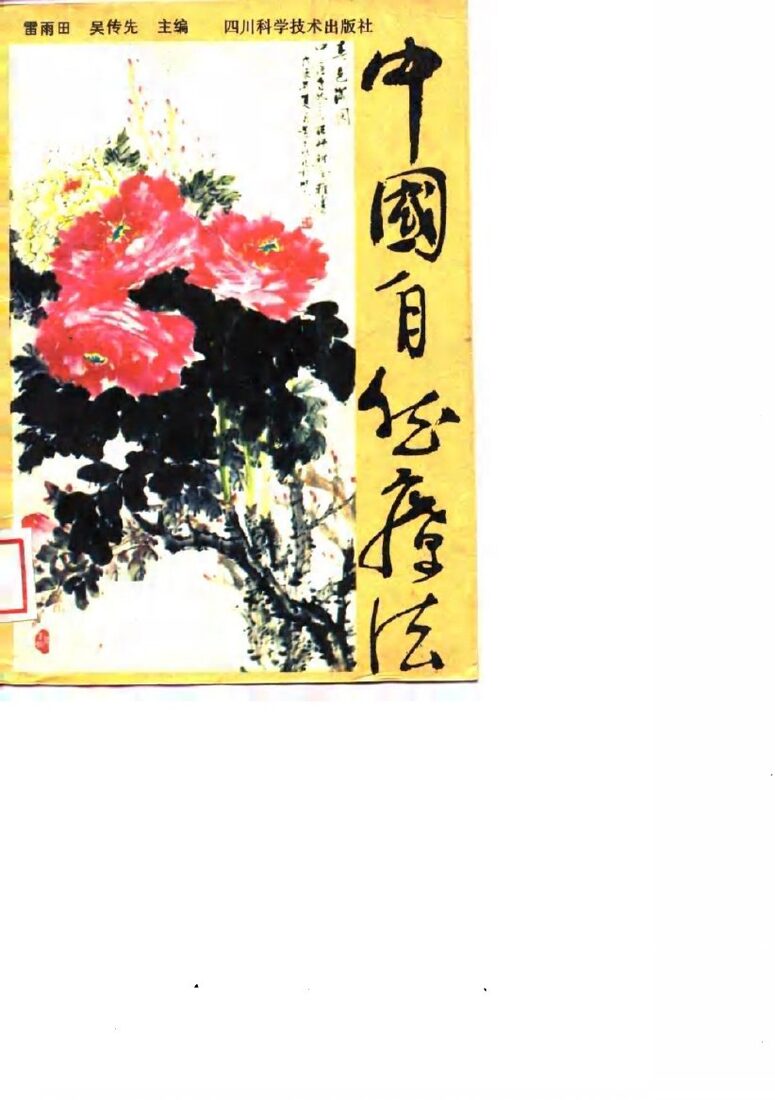 中国自然疗法 封面