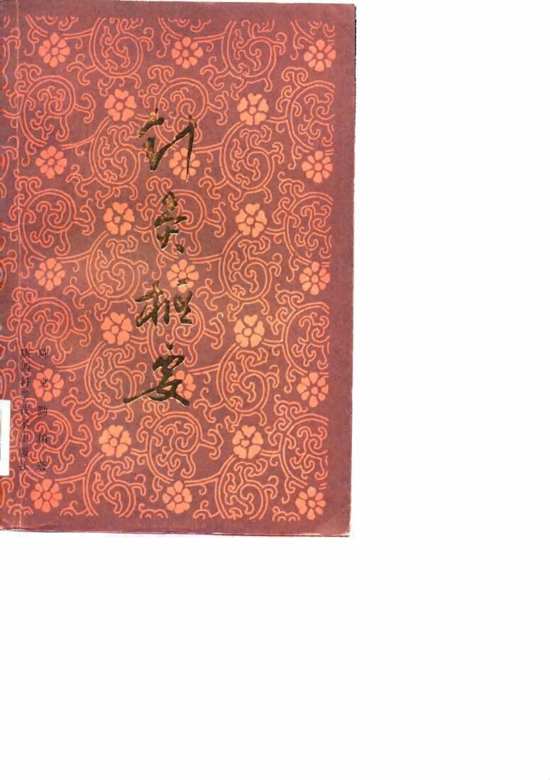 针灸枢要 封面