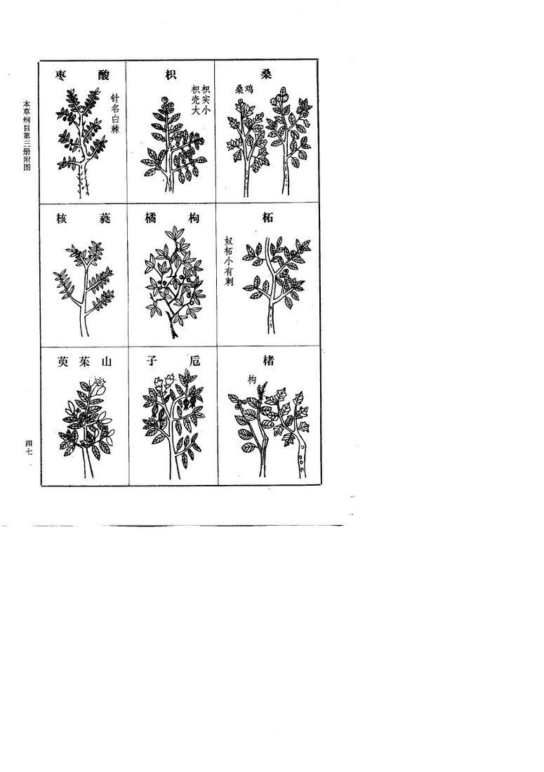 本草纲目  第一至四册 封面