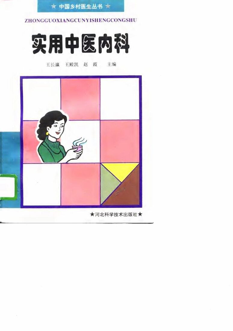 实用中医内科 封面