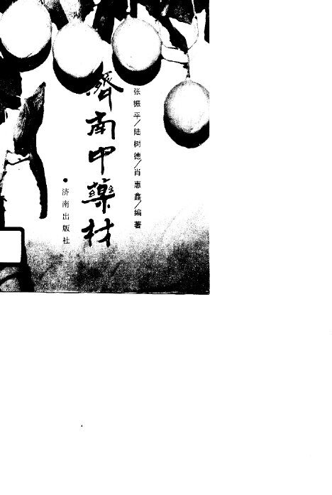济南中药材 封面