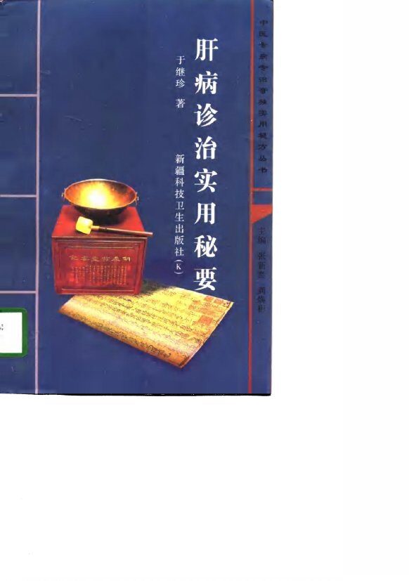 肝病诊治实用秘要 封面