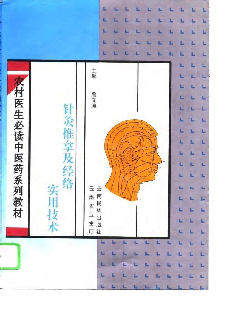 针灸推拿及经络实用技术 封面