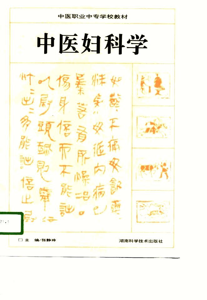 中医妇科学 封面