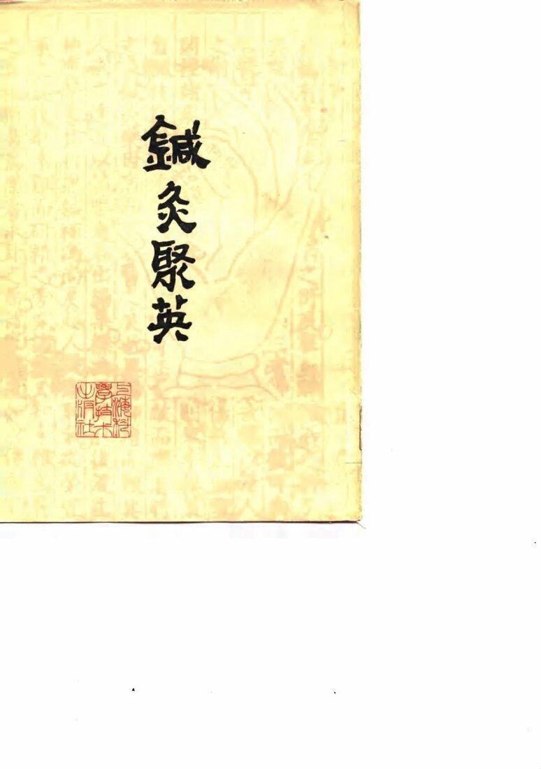 针灸聚英 封面
