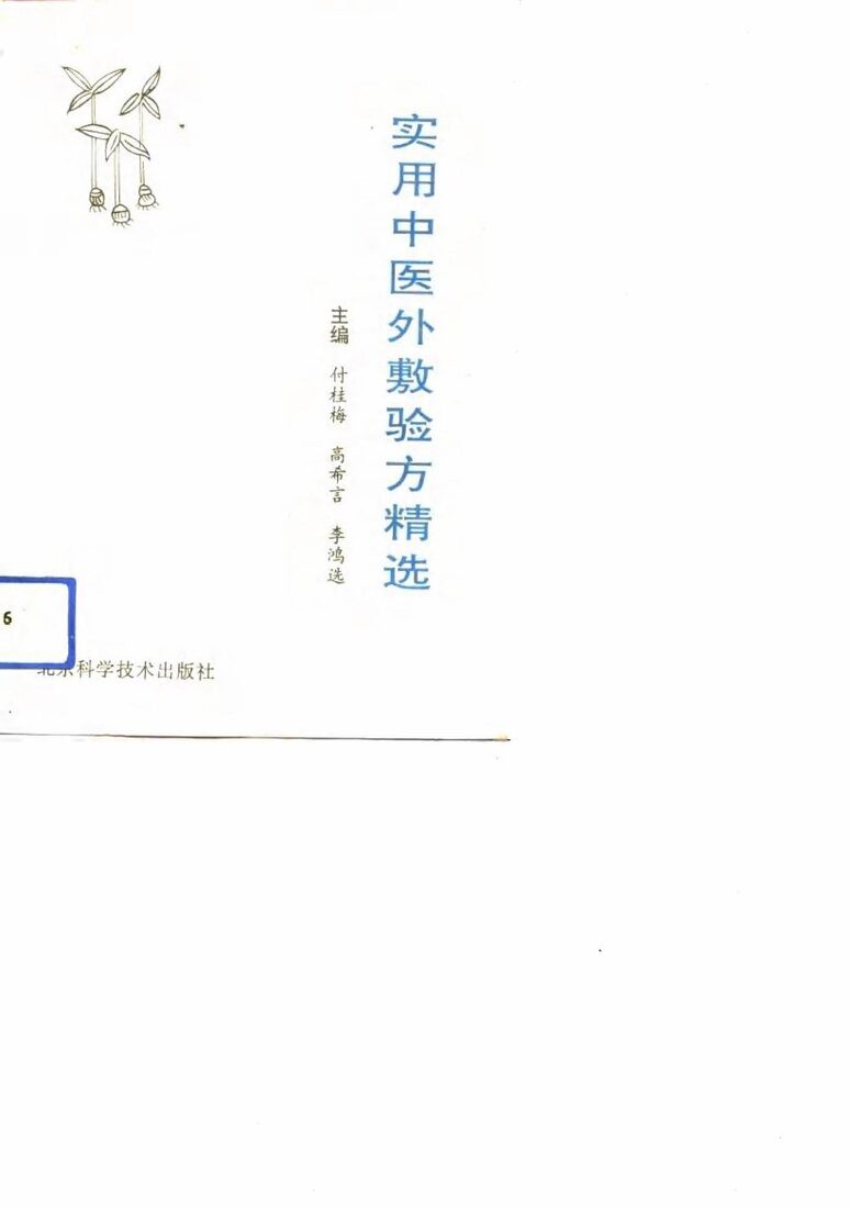 实用中医外敷验方精选 封面