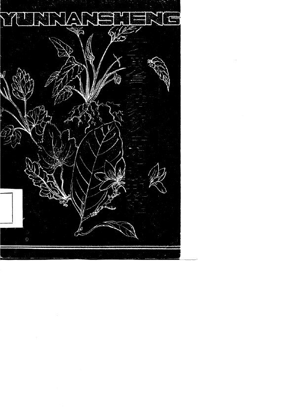 云南省中药饮片炮制规范  1986年 封面