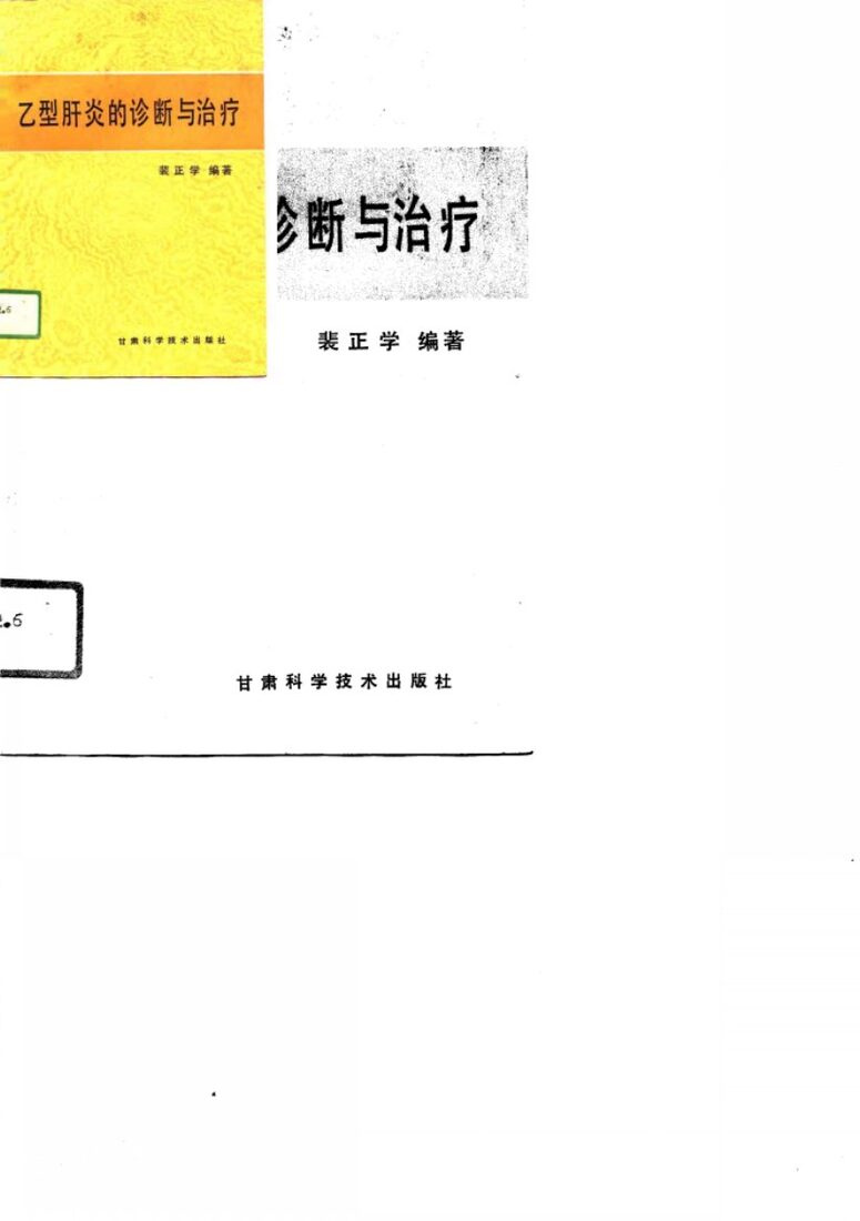 乙型肝炎的诊断与治疗 封面