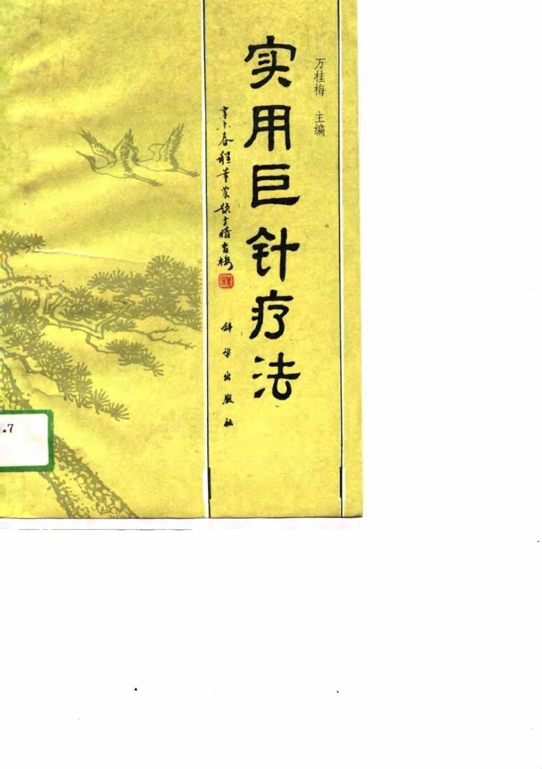 实用巨针疗法 封面