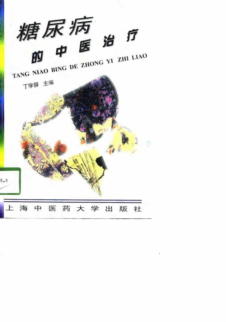 糖尿病的中医治疗 封面