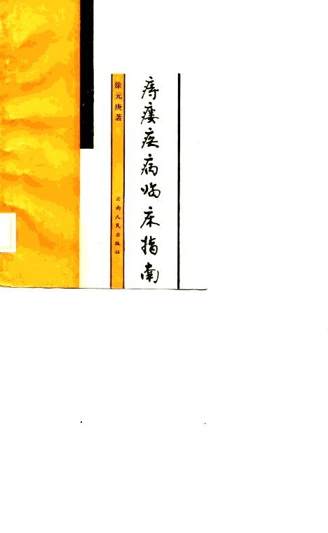 痔瘘疾病临床指南 封面