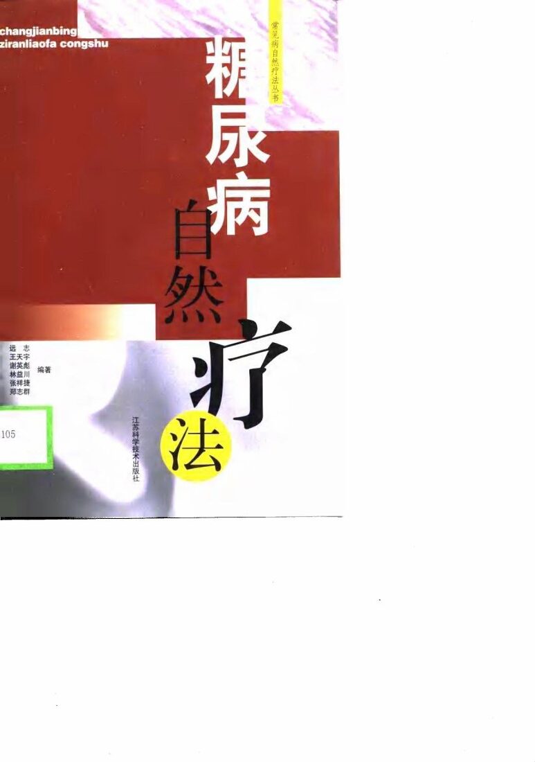糖尿病自然疗法 封面