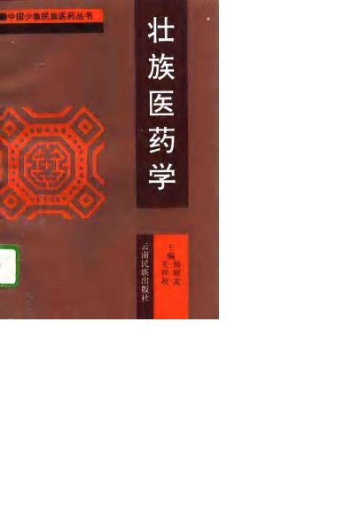 壮族医药学 封面