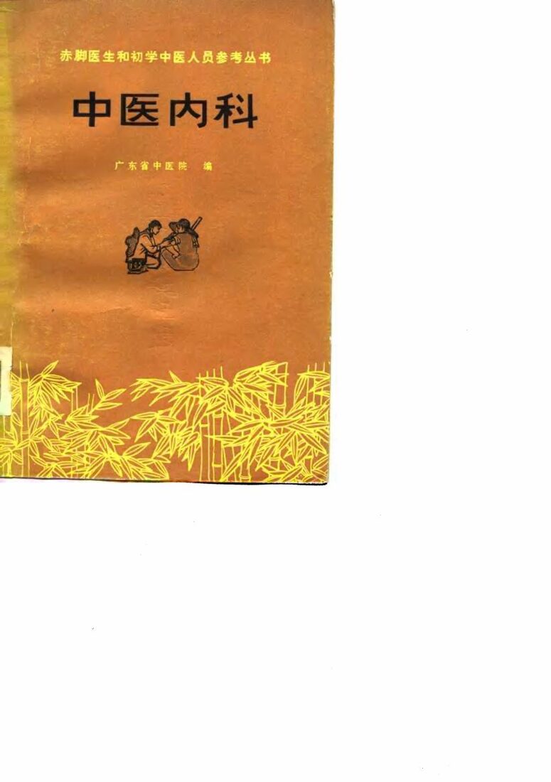 中医内科 封面