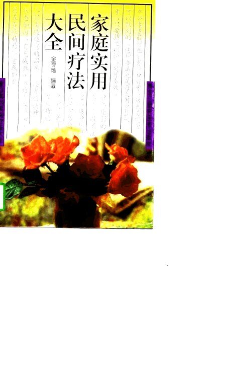 家庭实用民间疗法大全 封面