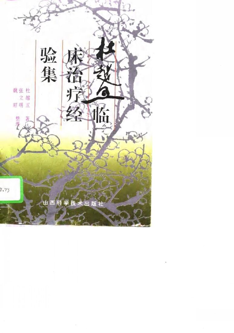 杜越五临床治疗经验集 封面