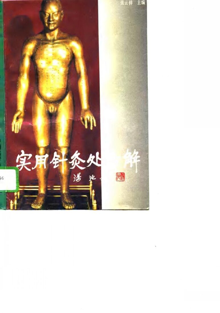 实用针灸处方解 封面