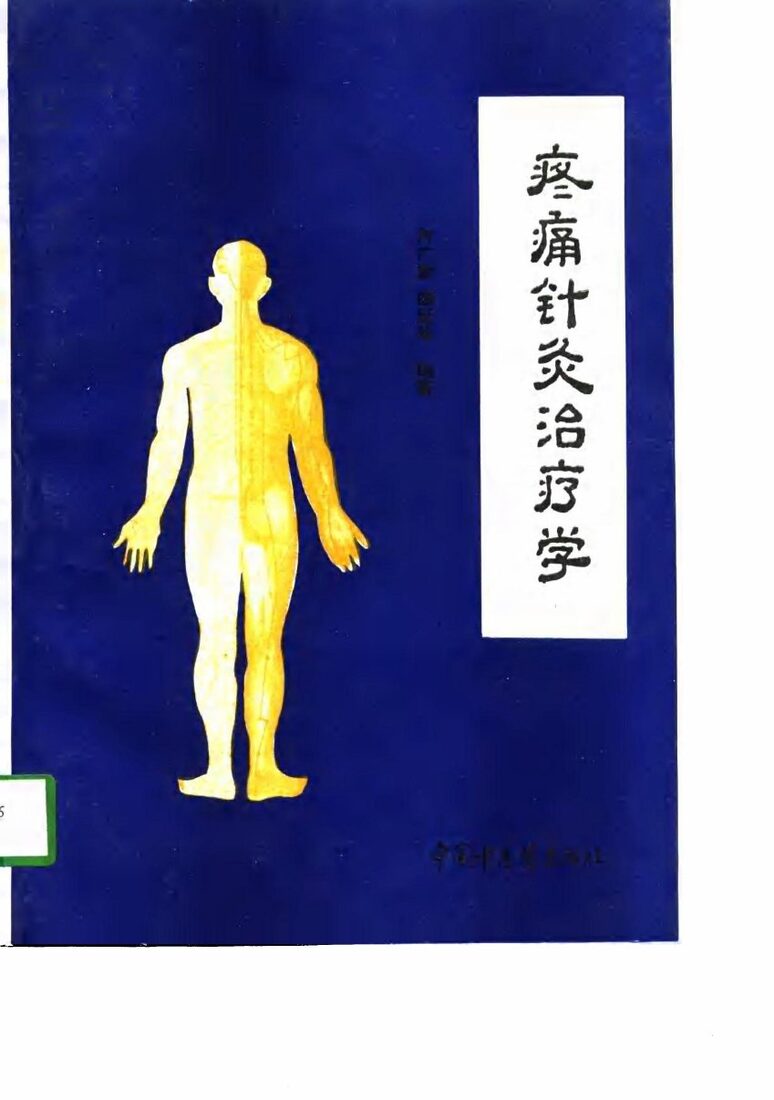 疼痛针灸治疗学 封面