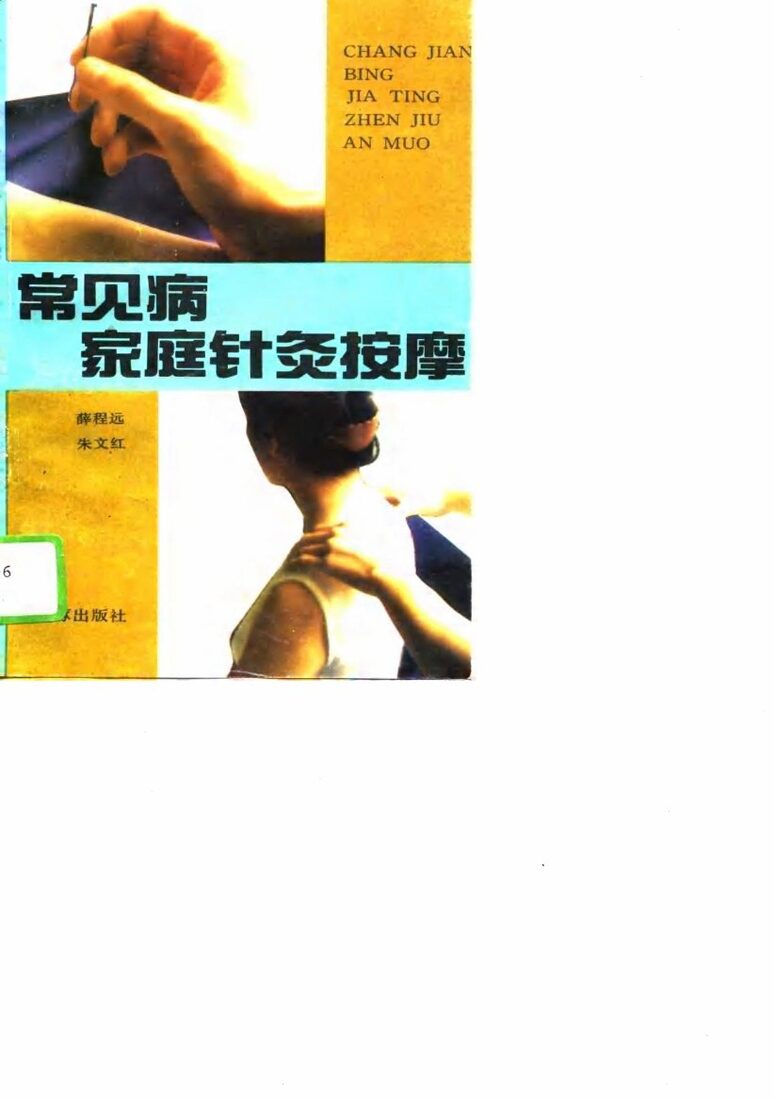常见病家庭针灸按摩 封面