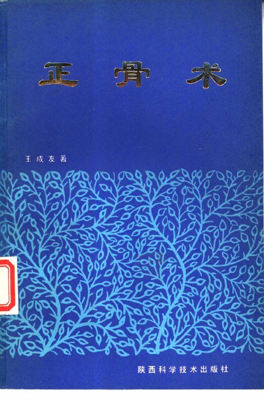 正骨术 封面